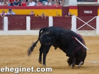 san-zenon-2008-toros-sabado-34