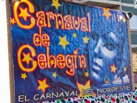 carnaval-2012-desfile-infantil-562