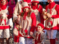 carnaval-2012-desfile-infantil-604