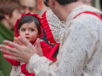 carnaval-2012-desfile-infantil-611