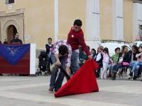 concurso-toreo-salon-cehegin-58