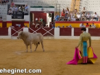 toros-sabado-03