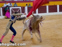 toros-sabado-18