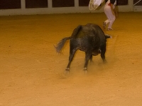 recortadores-13