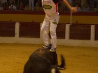 recortadores-43