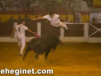 san-zenon-2008-recortadores-13