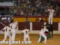 san-zenon-2008-recortadores-24