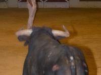 san-zenon-2008-recortadores-39