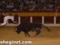 san-zenon-2008-recortadores-41