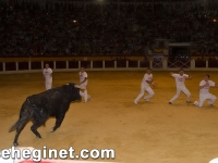 san-zenon-2008-recortadores-43