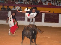 encierros-recortadores-17