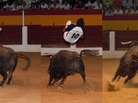 encierros-recortadores-25