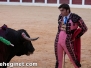 San Zenón Toros