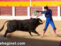 toros_sabado-09