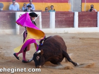 toros_sabado-15