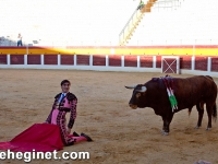 toros_sabado-19