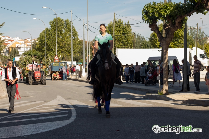 san-isidro-cehegin-2018-2