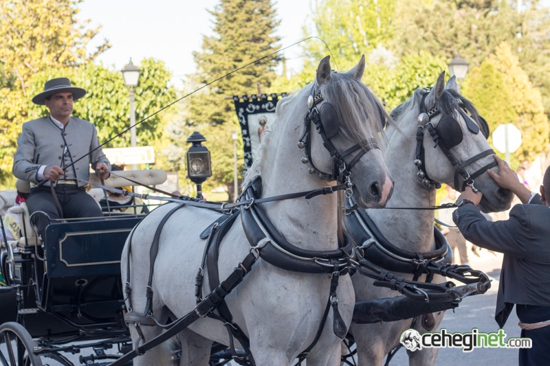 san-isidro-cehegin-2018-41