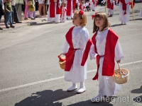 domingo-de-ramos-730