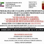 PROGRAMACUALIFICACIÓNPROFESIONAL2011