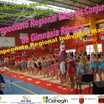 Cartel Regional Gimnasia Rítmica