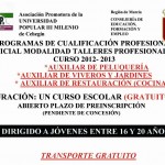 PROGRAMACUALIFICACIÓNPROFESIONAL2011