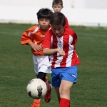 Más de 300 niños participan en el VI Torneo de Fútbol 8 'Ciudad de Cehegín