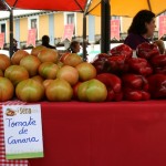 mercadillo-mayo-cehegin5