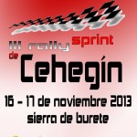 Rally Sprint 2013