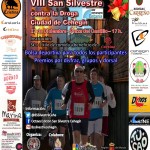 Cartel SanSilvestre2014