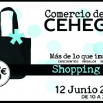 FLYER_SHOPPINGDAY_CEHEGIN_2015 copia