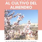 curso-gratuito-introduccion-al-cultivo-del-almendro